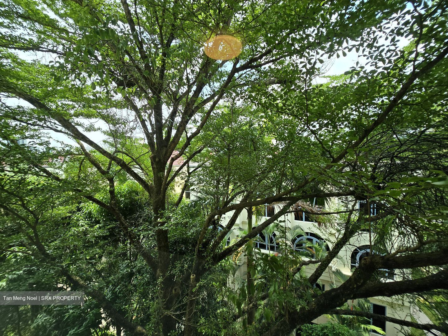 Jervois Regency (D10), Apartment #485090431